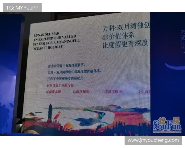 西安羽毛球队实力分析与发展潜力探讨全面解读